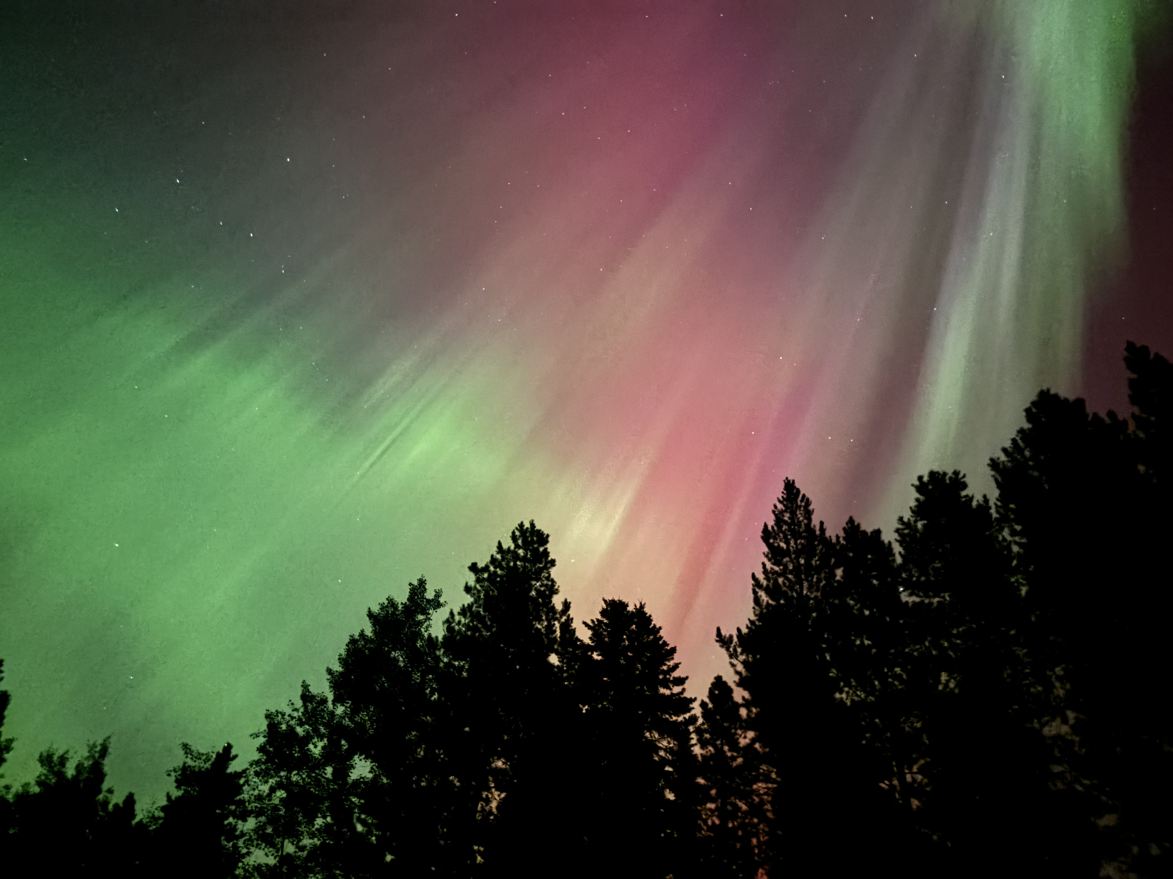 Bookshelves & Recommendations: A Book Lover’s Journey